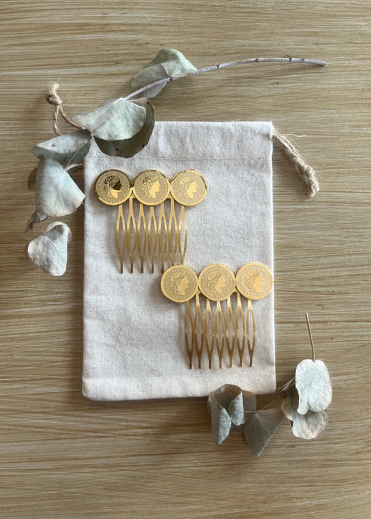 Peinas Monedas